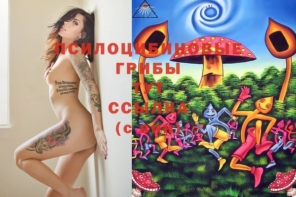 индика Гусь-Хрустальный
