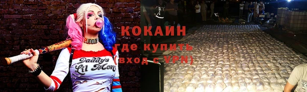дживик Абаза
