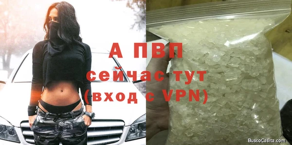 дживик Абаза