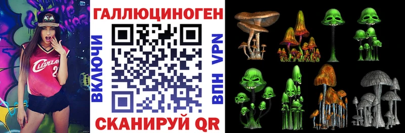 Галлюциногенные грибы GOLDEN TEACHER  где можно купить наркотик  Хабаровск 