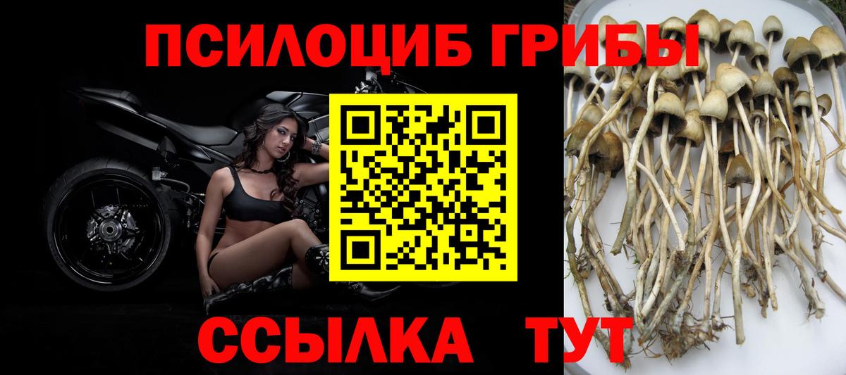 Хабаровск  Псилоцибиновые грибы ЛСД  Вход с VPN 